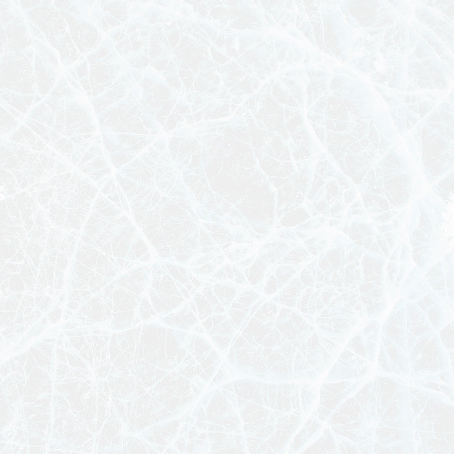 Hockey Skate Laces Fitting Guide Find the Perfect Lace Size